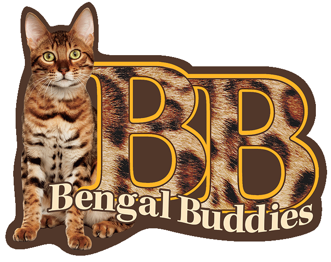 2016_BB_Logo_YELLOW_sm