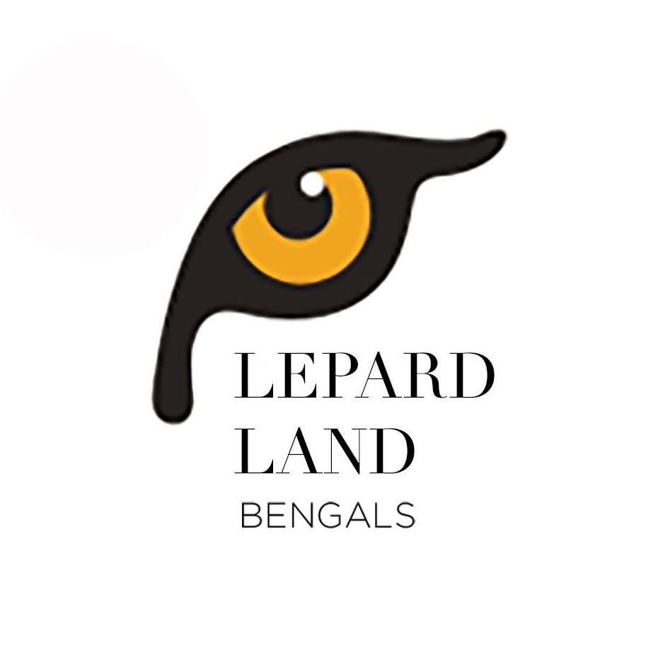 Logo Lepardland Criadero Gato Bengali