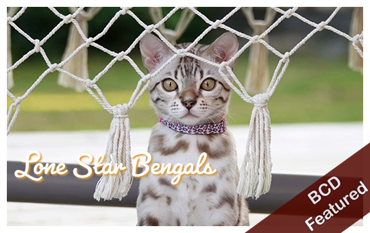 LoneStar Bengals